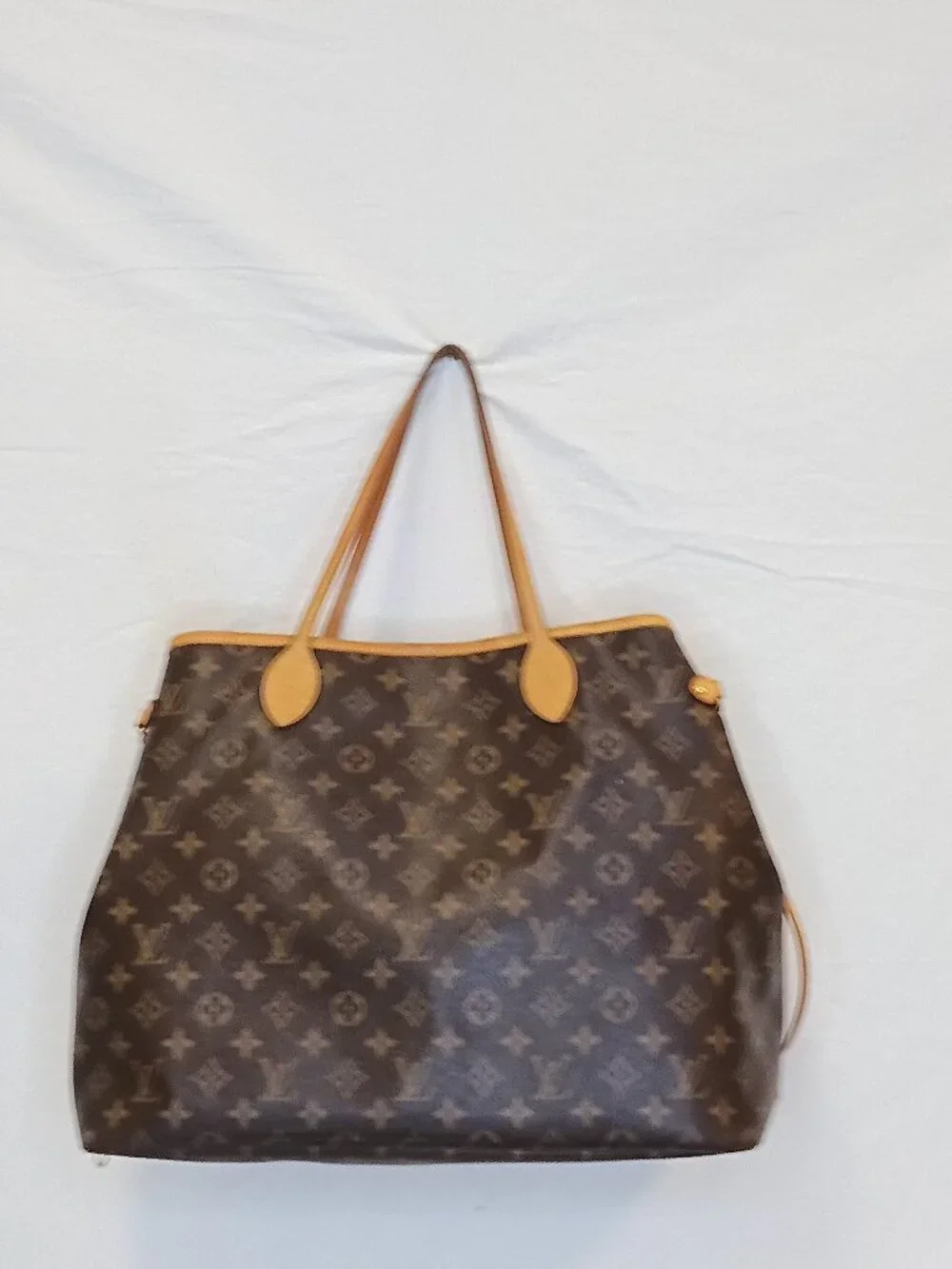 Louis Vuitton large interior